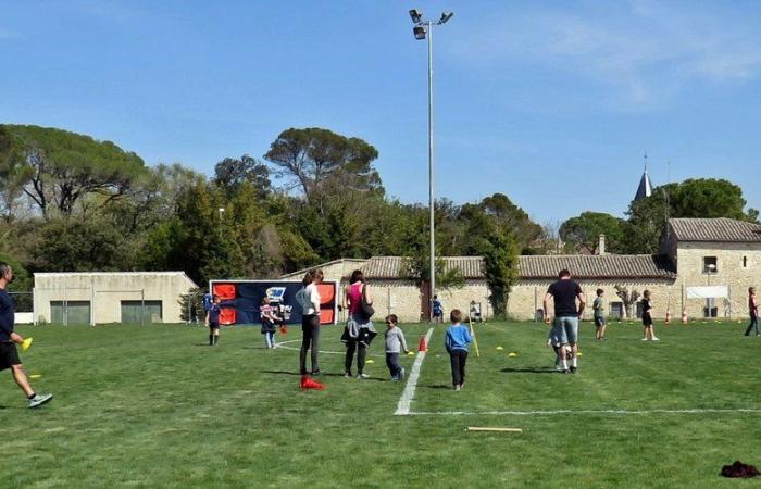 Diversi cicli introduttivi al rugby di Hérault sport