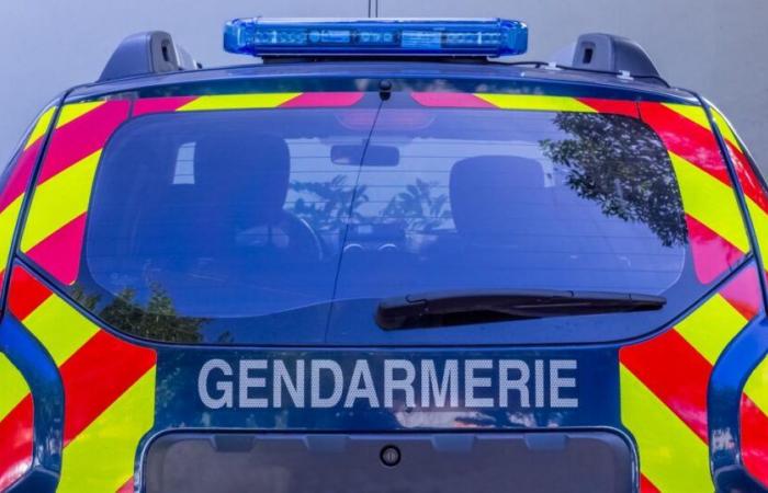 un uomo trovato morto a colpi di arma da fuoco a Bréhéville