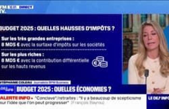 Il primo ministro François Bayrou parla dopo l’incontro con le parti sociali