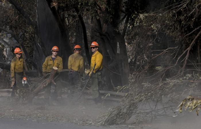 Los Angeles | A dieci giorni dall’inizio degli incendi, continua la ricerca delle vittime