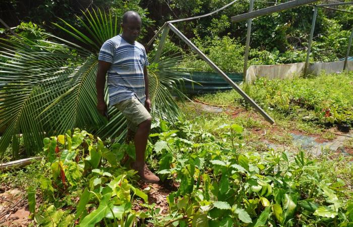 A Mayotte devastata dal ciclone, “gli agricoltori hanno perso tutto”