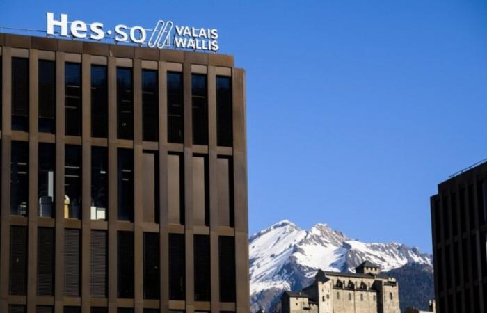 1/4 degli studenti e dei collaboratori dell’HES-SO Valais-Wallis hanno subito commenti sessisti