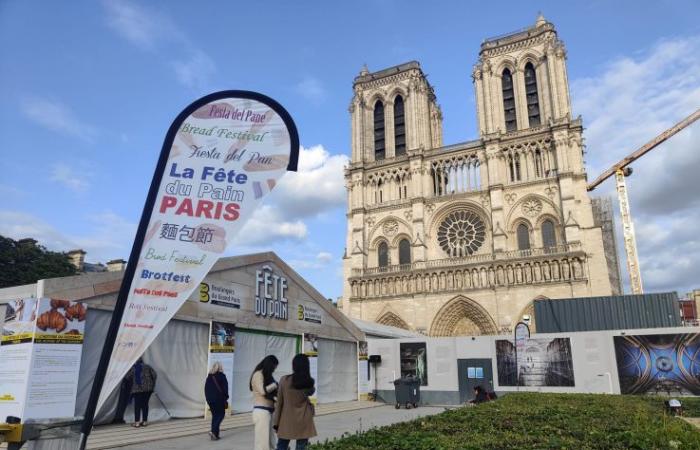 i panettieri artigianali tornano sulla piazza Notre-Dame