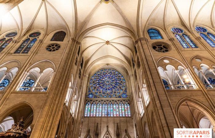 Notre-Dame de Paris è facilmente raggiungibile senza biglietto? C’è ancora coda?