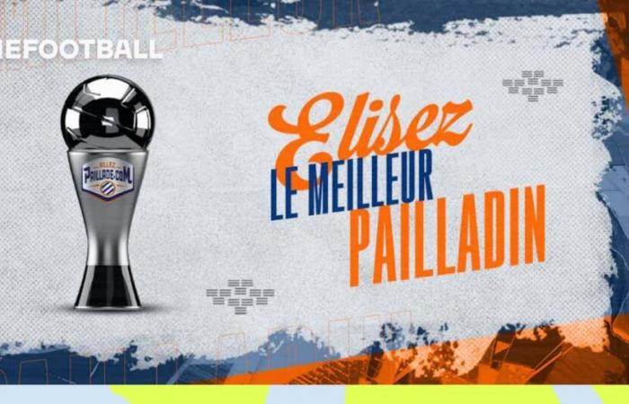 Vota il miglior Pailladin della partita contro il Monaco!