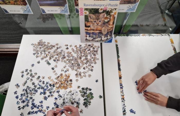 Laboratori di puzzle per rilassare gli studenti