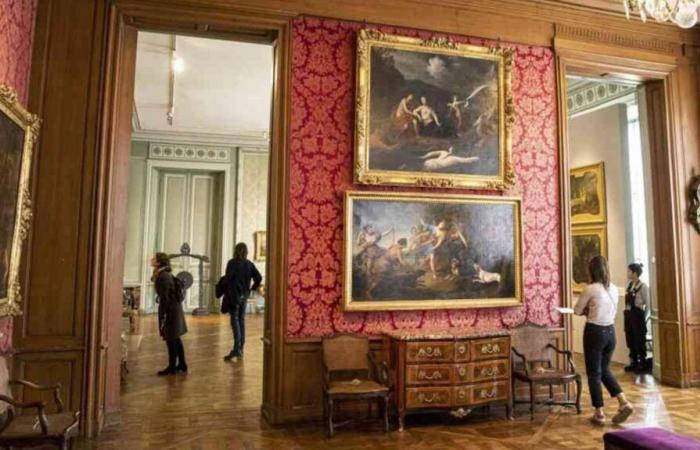 un anno record al Museo delle Belle Arti