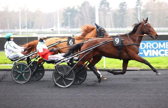 Premio Maisons-Laffitte: Mille Stelle, con facilità