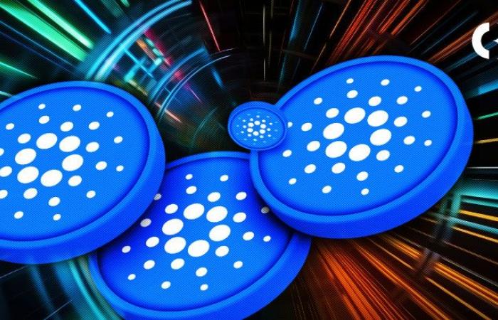 Cardano riuscirà a scappare o a correggere ulteriormente?