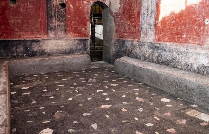 Un lussuoso complesso termale privato scoperto sul sito di Pompei – rts.ch