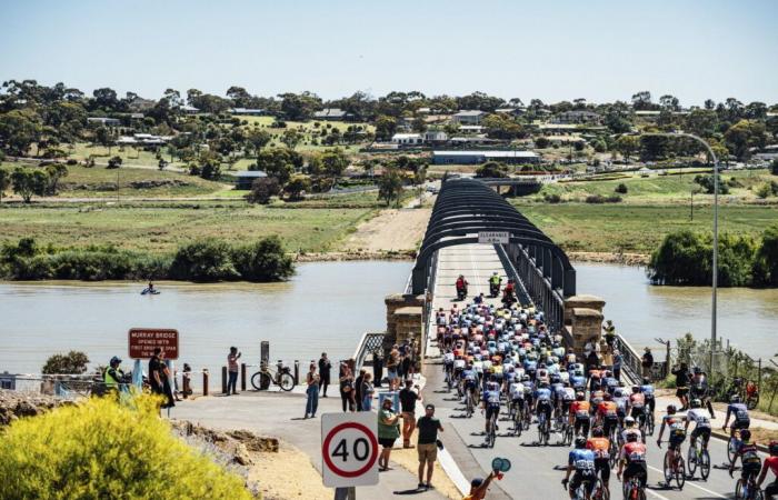 Anteprima del Santos Tour Down Under – Velo-Club.net