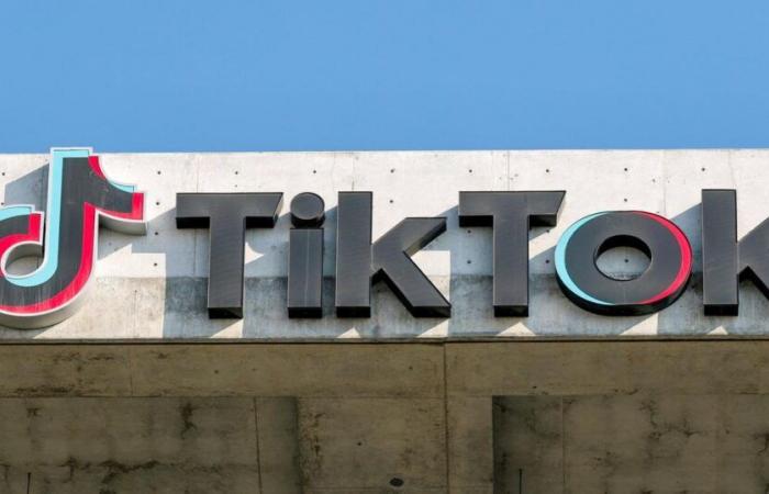 TikTok minaccia di andare offline domenica