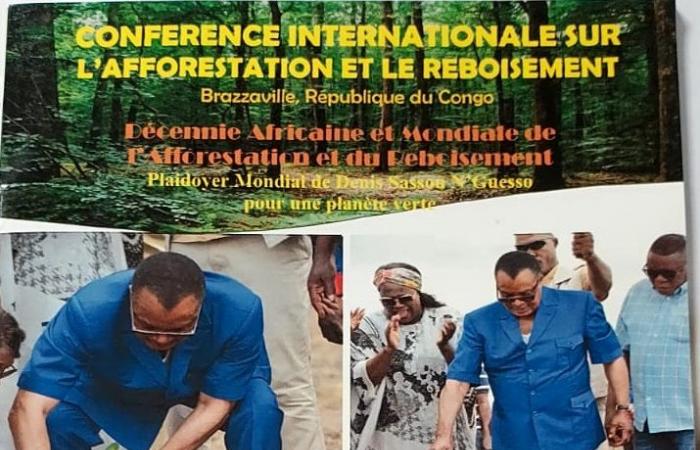 Michel Innocent Peya ha pubblicato opere di splendida fattura i cui temi che si adattano all’era dei tempi trascendono la visione ecologica del presidente Denis Sassou N’Guesso