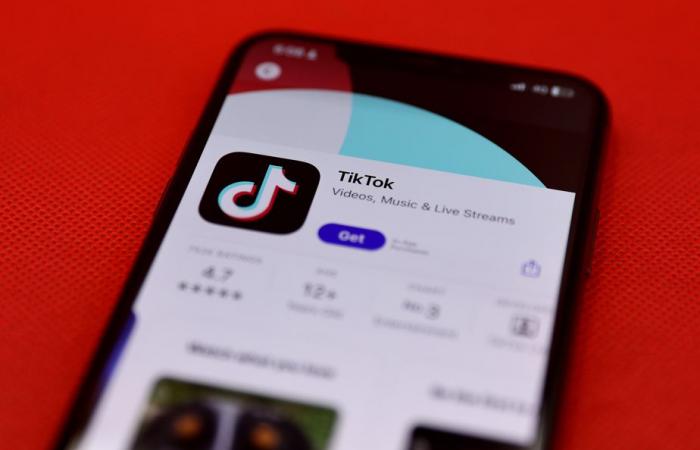 Stati Uniti | “TikTok purtroppo sarà costretto a chiudere”