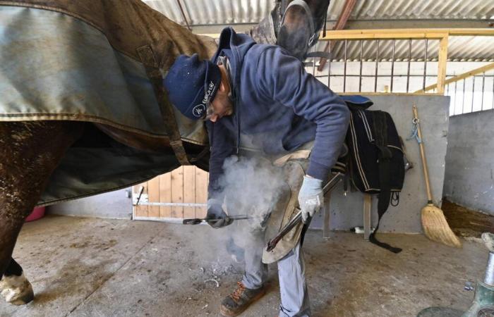 l’area metropolitana di Royan sta lavorando al career campus e al rilevamento del territorio