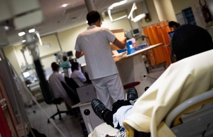 la vaccinazione obbligatoria degli operatori sanitari contro l’influenza in questione