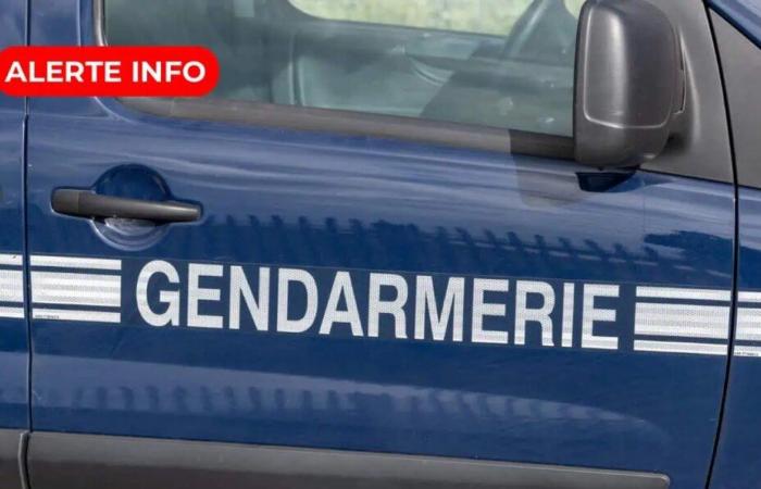 si dice che un sospetto sia in custodia di polizia