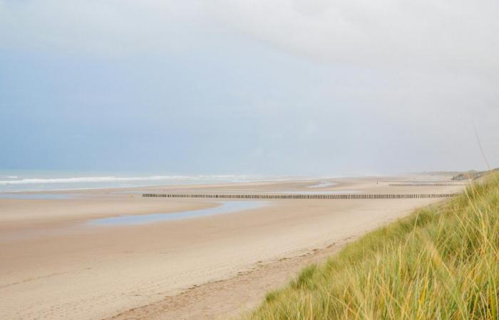 Nel 2025, Ch’tis Voyages à vélo propone un nuovo viaggio in bicicletta tra la Côte d’Opale e la Baie de Somme – 18/01/2025