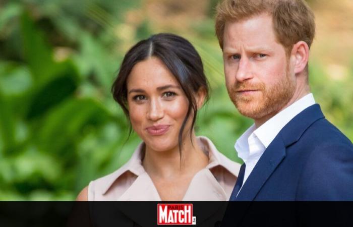 Nuove celebrità attaccano Meghan Markle dopo gli incendi di Los Angeles: “Vai a casa!”