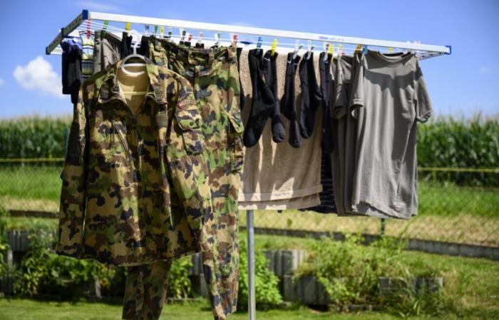 L’esercito svizzero rinuncia all’eleganza per acquistare armi