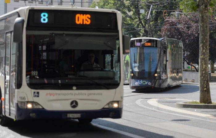 donna vittima di violenza sessuale in strada