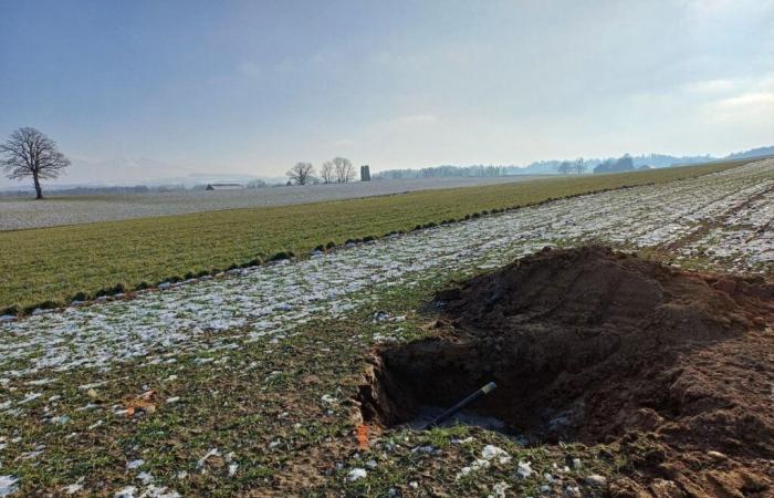 Il palo di misurazione del vento di Friburgo irrita Vaud