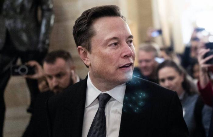 Elon Musk, amico o nemico della libertà?