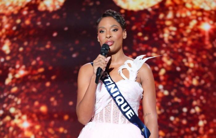 Angélique Angarni-Filopon si è installata nell’appartamento di Miss France