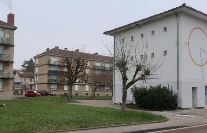 Lons-le-Saunier. La creazione di un giardino condiviso affonda le sue radici nel cuore di Mouillères