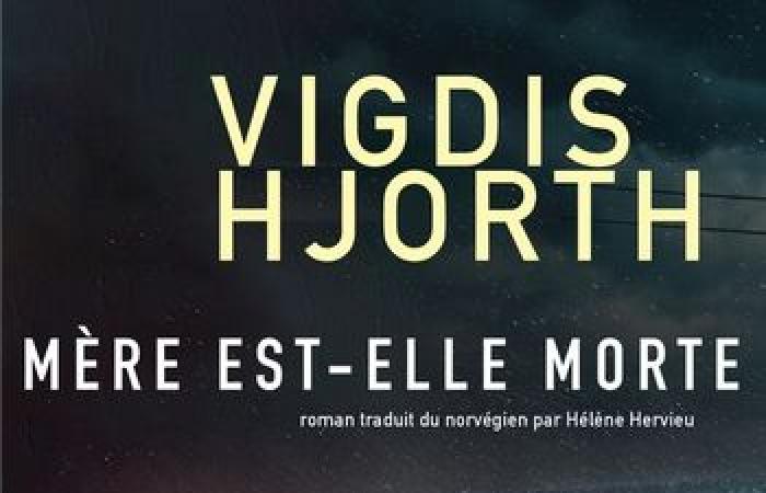 “Is Mother Dead”, di Vigdis Hjorth: un’opera unica