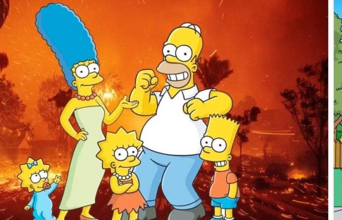 con il suo sostegno dopo gli incendi Matt Groening provoca polemiche