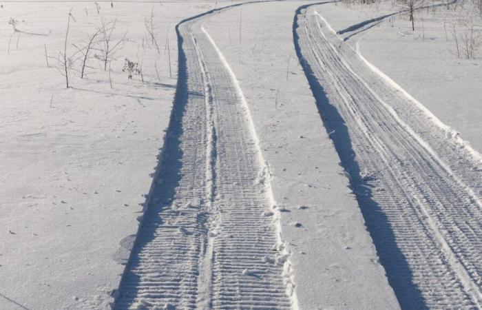 una motoslitta muore dopo aver colpito un albero