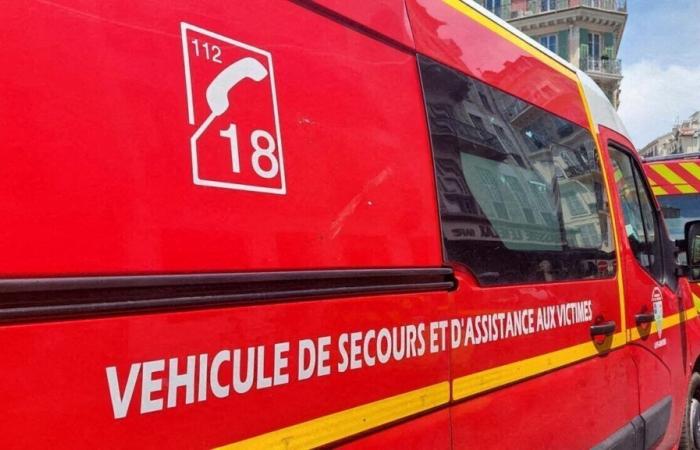 Una giovane donna in assoluta emergenza dopo un incidente stradale in Vandea