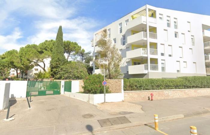 una coppia aggredita violentemente a Montpellier