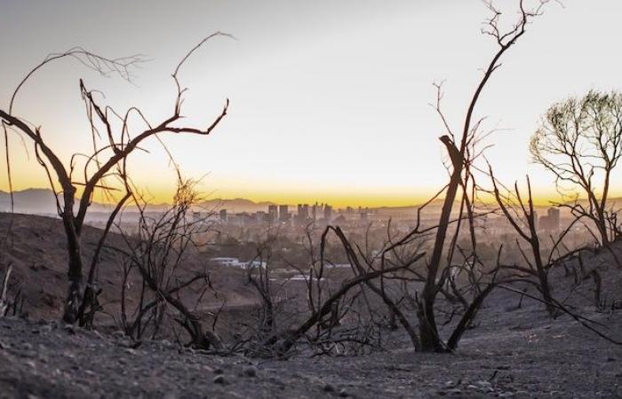 Gli incendi in California spingono ulteriormente i confini dell’adattamento climatico