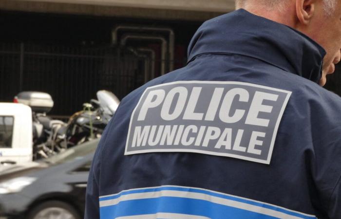 con la sua nuova formidabile arma, la polizia municipale fa piovere multe per eccesso di velocità