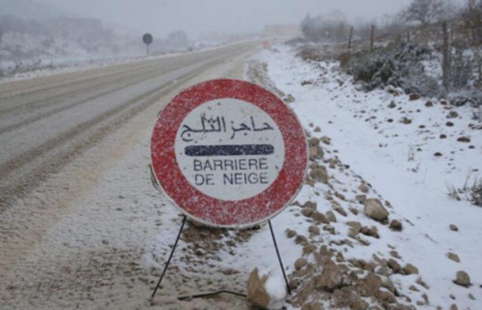 Sta nevicando nella città di Ifrane (VIDEO)