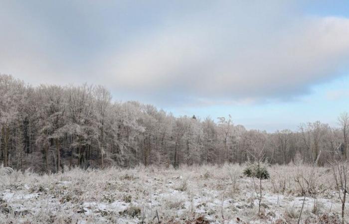 Domenica asciutta e calma con cielo grigio o azzurro