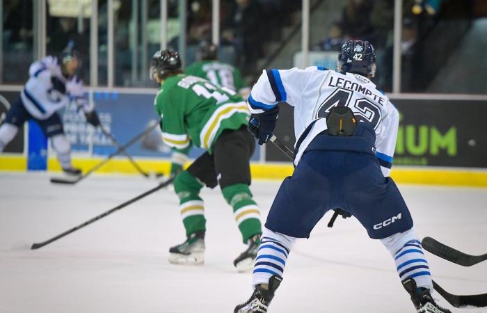 I Saguenéen vengono riprodotti da Val-d’Or