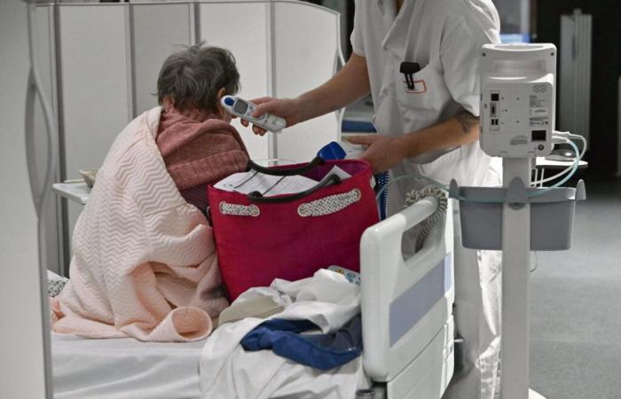 caregiver impotenti di fronte all’epidemia di influenza