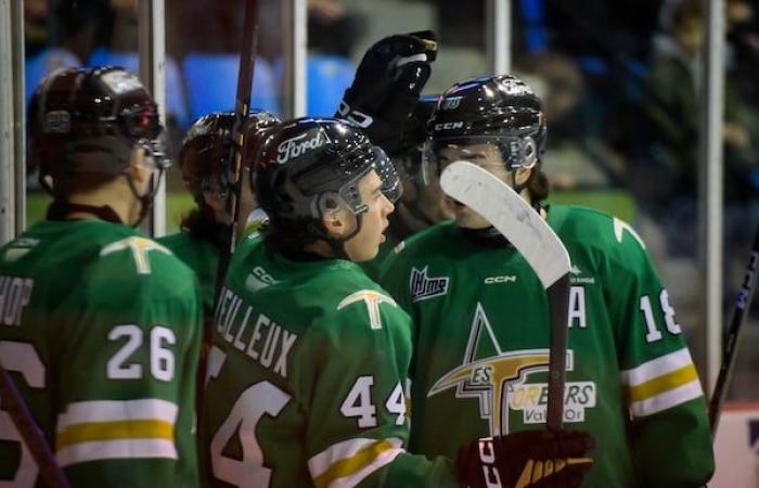 I Saguenéen vengono riprodotti da Val-d’Or