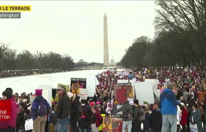 Manifestazioni a Washington prima del giuramento di Donald Trump