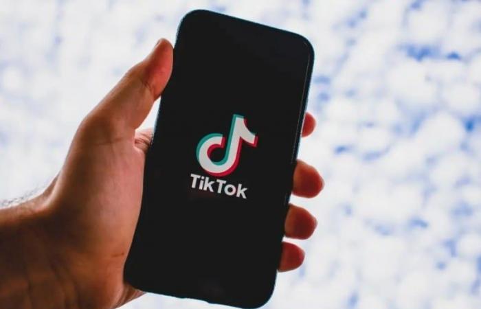 Tiktok inaccessibile negli Stati Uniti in attesa dell’insediamento di Trump