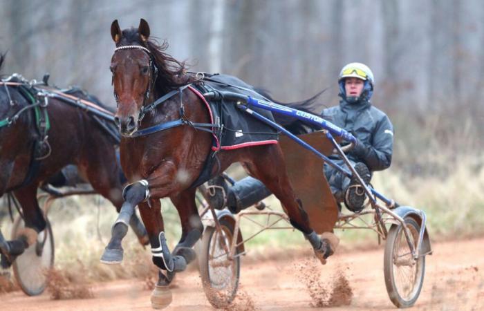 Prix ​​​​d’Amérique Legend Race 2025: Keep Going è perfetto