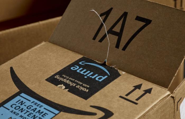 Al Nord, questo sabato è in programma una grande svendita di pacchi smarriti di Amazon