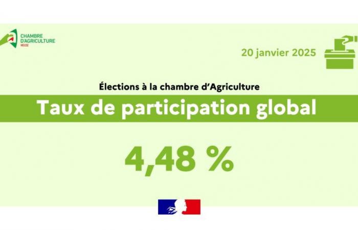 Tasso di partecipazione al 20 gennaio – Elezioni della Camera dell’Agricoltura della Mosa – Tutte le notizie – Attualità