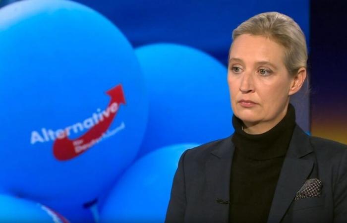 E poi Alice Weidel passa alla controffensiva