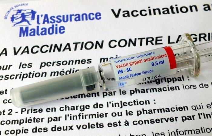 “Abbiamo vaccinato più dell’anno scorso”, spiega la Federazione dei sindacati farmaceutici di Francia