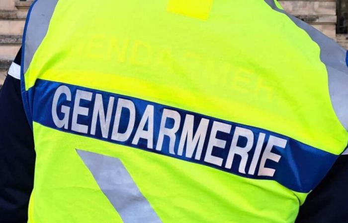 Clermontois. Arrestato un automobilista dopo un lungo contromanomissione sulla RN31