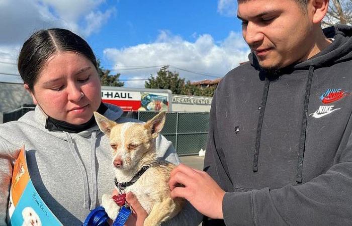 Los Angeles. Commovente incontro tra gli animali salvati dagli incendi e i loro padroni